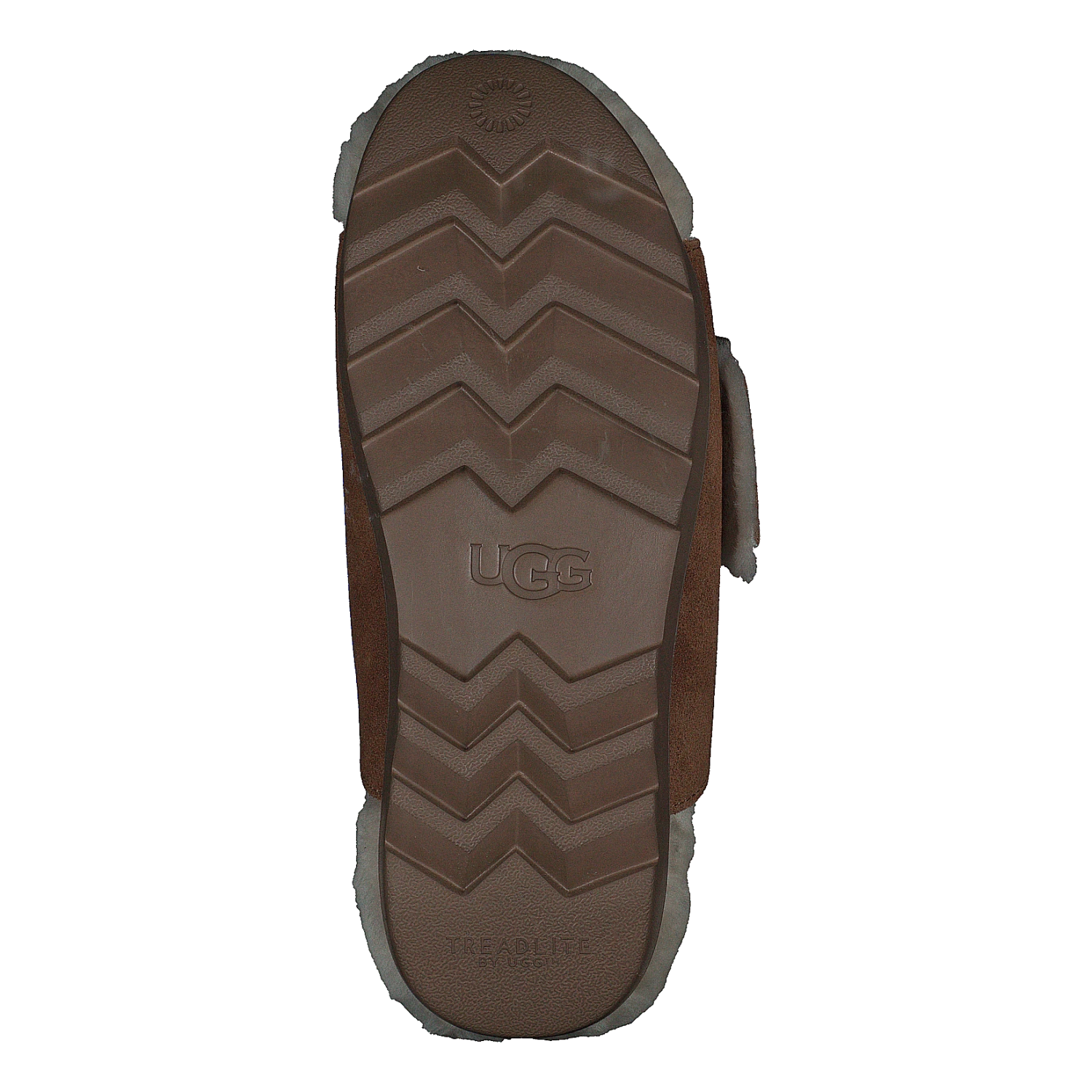 W Outslide Buckle Chestnut Suede(Ugg W Outslide Buckle Chestnut Suede) 7 W Outslide Buckle Chestnut Suede(Ugg W Outslide Buckle Chestnut Suede) - Bild 7