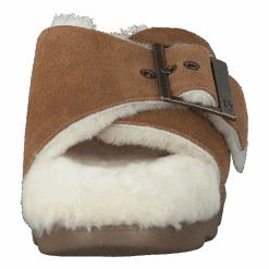 W Outslide Buckle Chestnut Suede(Ugg W Outslide Buckle Chestnut Suede) 10 W Outslide Buckle Chestnut Suede(Ugg W Outslide Buckle Chestnut Suede) -Heppo Butik 60729 63 e875540f cfdd 4d25 8a60 05fe95776041
