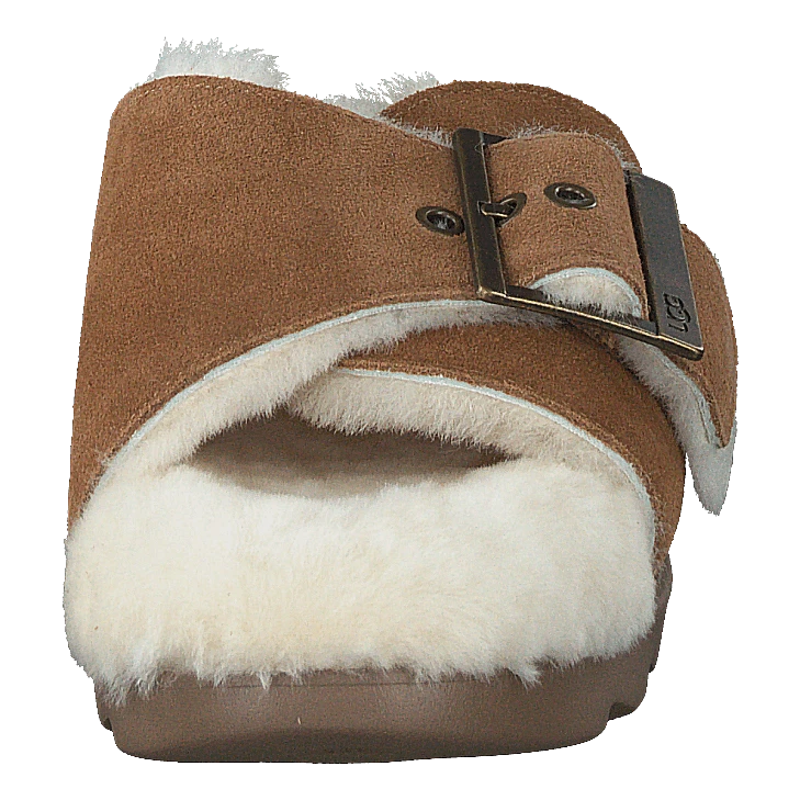 W Outslide Buckle Chestnut Suede(Ugg W Outslide Buckle Chestnut Suede) 4 W Outslide Buckle Chestnut Suede(Ugg W Outslide Buckle Chestnut Suede) - Bild 4