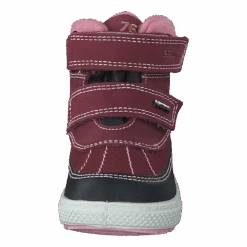 Pbzgt 28568 Vino/nero/bordo(Primigi Pbzgt 28568 Vino Nero Bordo) -Heppo Butik 60734 19 c7deab38 f997 4c8d 9ea8 db6c4f4480eb