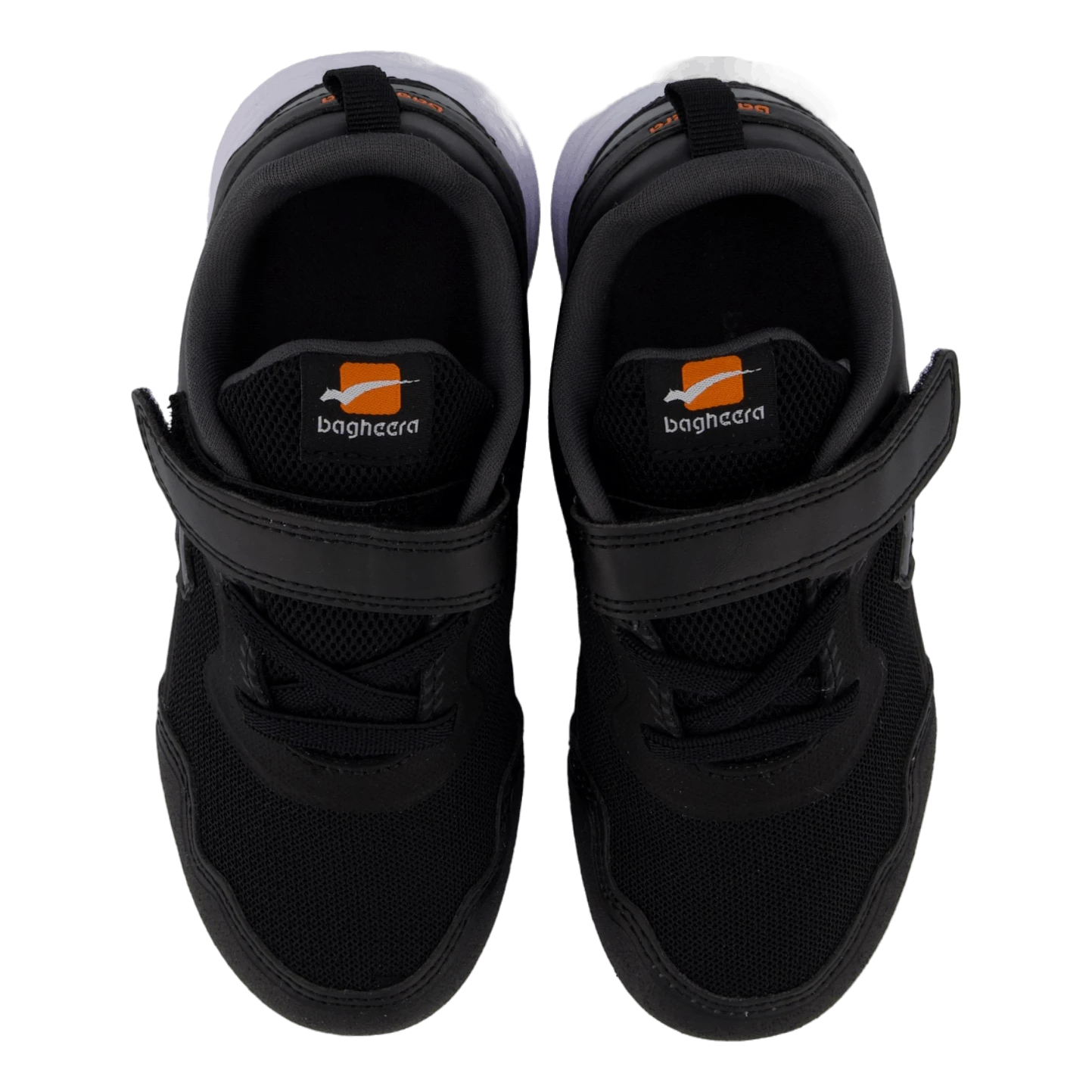 Pixie Black/white(Bagheera Pixie Black White) 6 Pixie Black/white(Bagheera Pixie Black White) - Bild 6