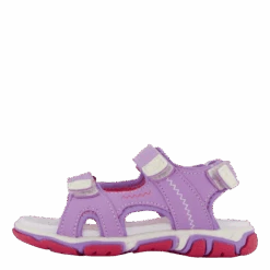 Wave Purple(Pax Wave Purple)