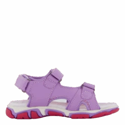 Wave Purple(Pax Wave Purple) 8 Wave Purple(Pax Wave Purple) -Heppo Butik 60933 60 003