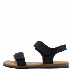 Tindra Black(Ten Points Tindra Black)