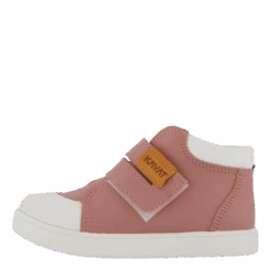 Fiskeby Xc Ash Rose(Kavat Fiskeby Xc Ash Rose)