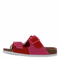 Hc.bio403 Bub(Colors Of California Hc Bio403 Bub 2)