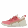 Ecco Biom K1 Bubblegum/bubblegum/rose Dust(Ecco Ecco Biom K1 Bubblegum Bubblegum Rose Dust)