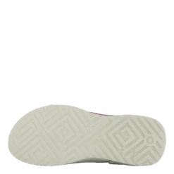 Ecco Biom K1 Violet Ice/voilet Ice/orchid(Ecco Ecco Biom K1 Violet Ice Voilet Ice Orchid) -Heppo Butik 61147 04 004