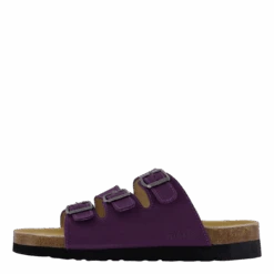 Shell Purple Heart(Sk Na Marie Shell Purple Heart)