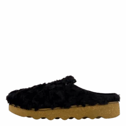 Foggia-d Schwarz(Rohde Foggia D Schwarz)