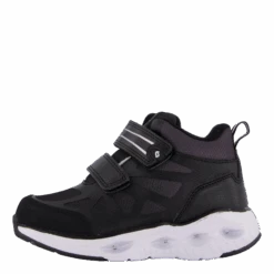 Kumla Black(Leaf Kumla Black)