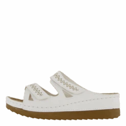 Sigrid White(Mohedatoffeln Sigrid White 2)