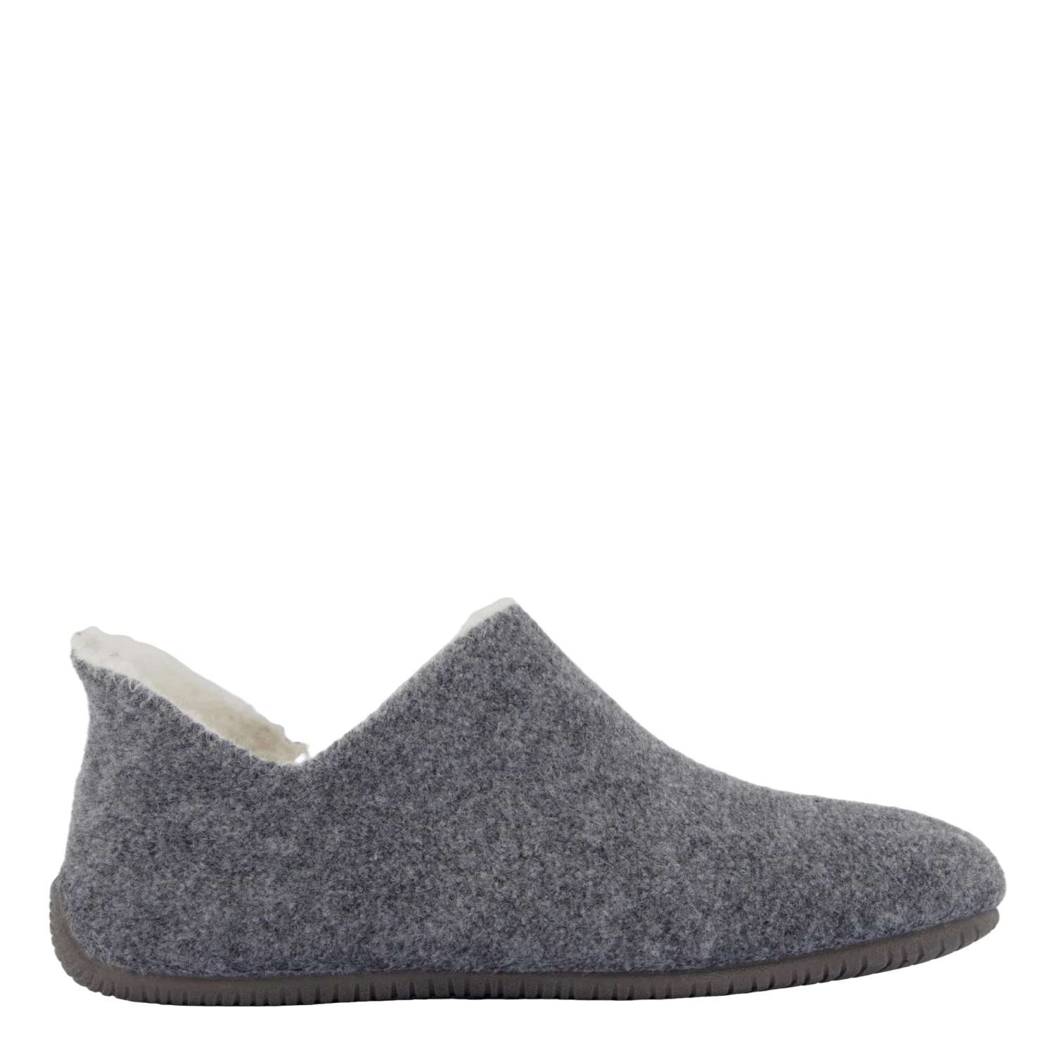 Yoi Picos Pet Gris(Verbenas Yoi Picos Pet Gris) 3 Yoi Picos Pet Gris(Verbenas Yoi Picos Pet Gris) - Bild 3