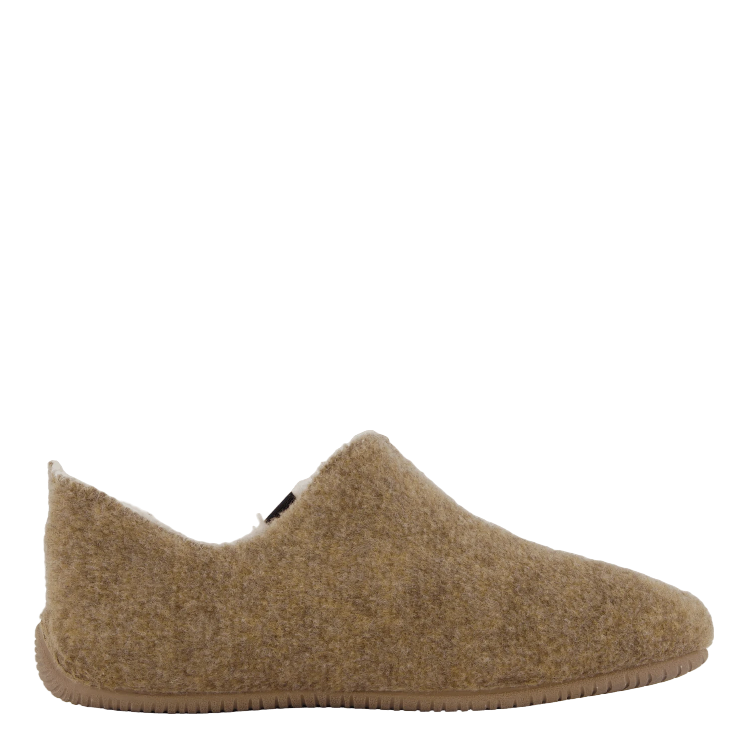 Yoi Picos Pet Tierra(Verbenas Yoi Picos Pet Tierra) 3 Yoi Picos Pet Tierra(Verbenas Yoi Picos Pet Tierra) - Bild 3