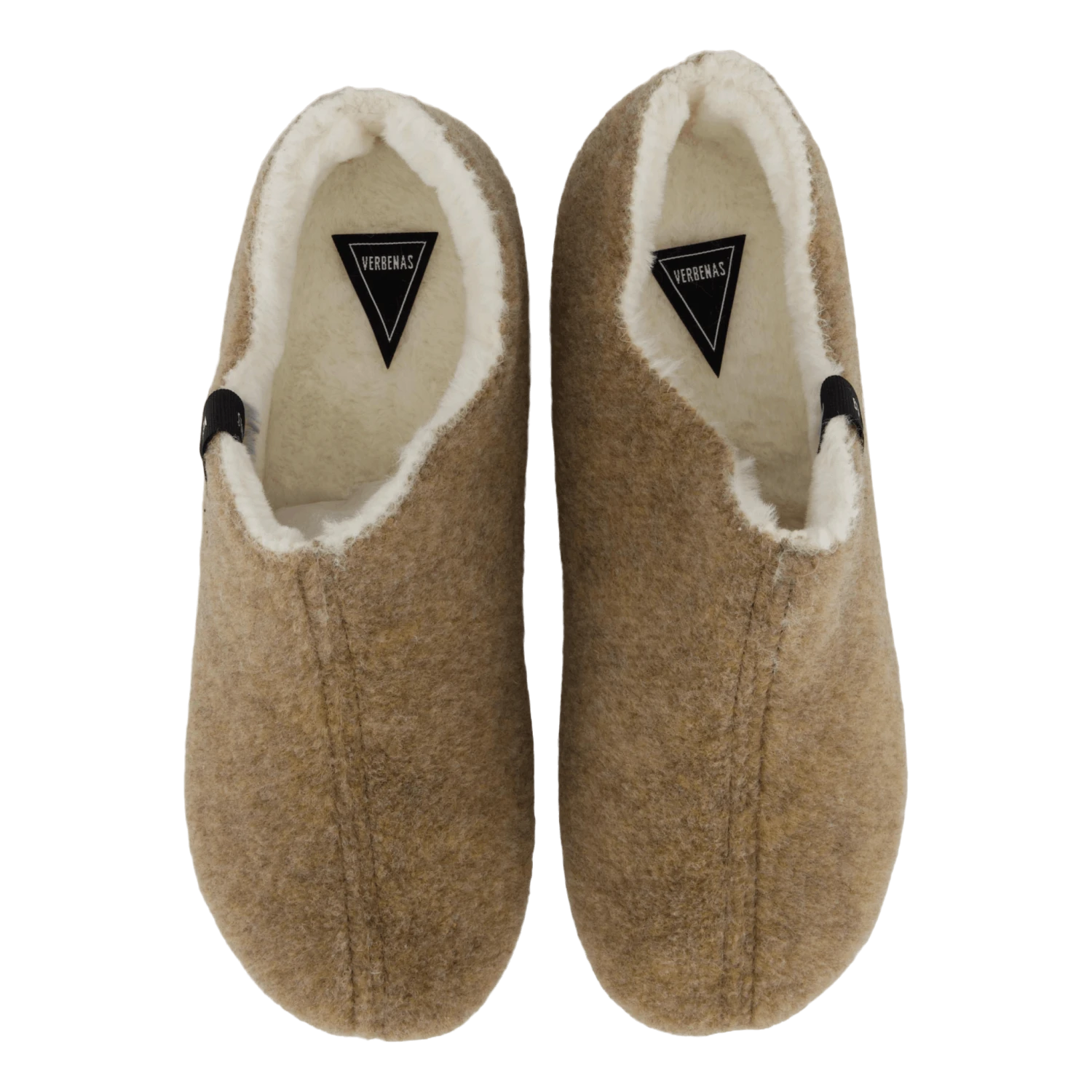 Yoi Picos Pet Tierra(Verbenas Yoi Picos Pet Tierra) 6 Yoi Picos Pet Tierra(Verbenas Yoi Picos Pet Tierra) - Bild 6