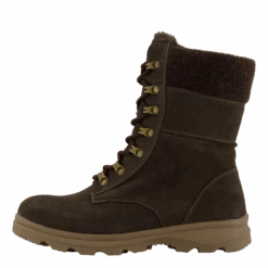 Kingsbury Dk Brown(Wildflower Kingsbury Dk Brown 2)