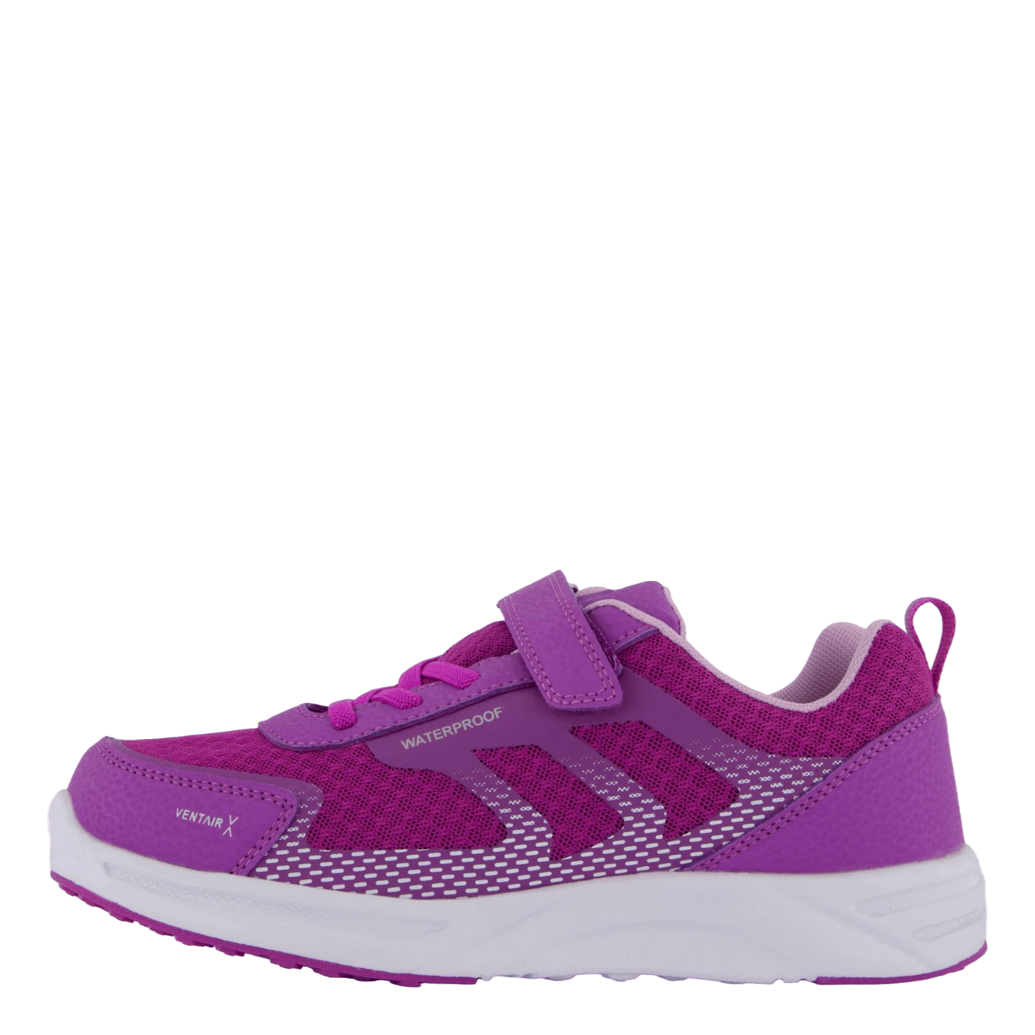 Perry Purple(Pax Perry Purple) 1 Perry Purple(Pax Perry Purple)