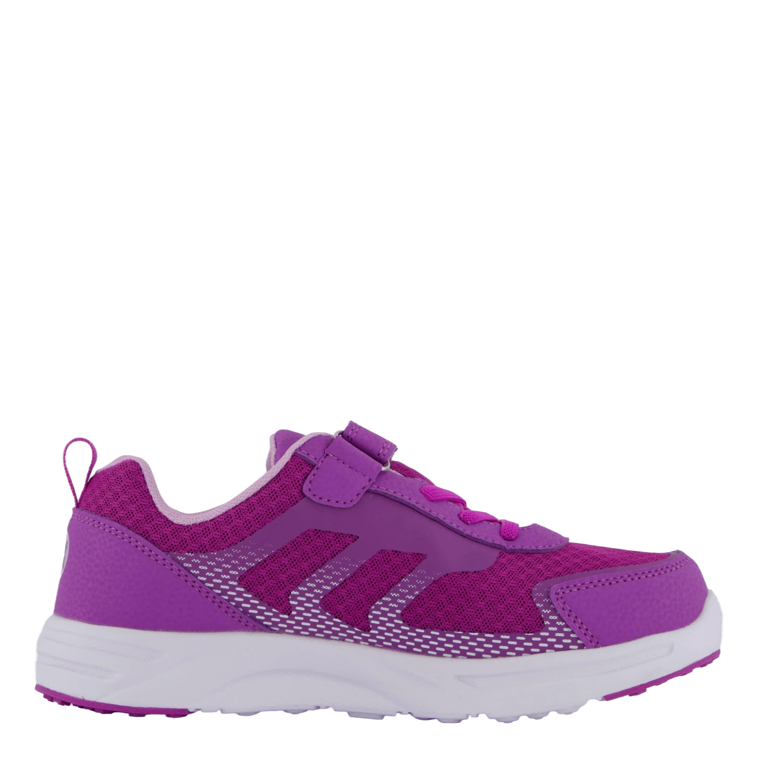 Perry Purple(Pax Perry Purple) 3 Perry Purple(Pax Perry Purple) - Bild 3