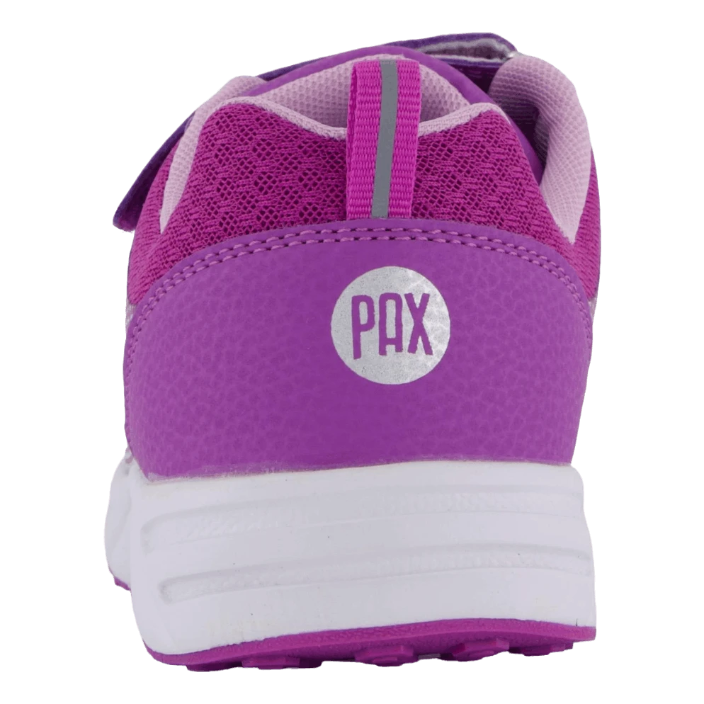 Perry Purple(Pax Perry Purple) 5 Perry Purple(Pax Perry Purple) - Bild 5