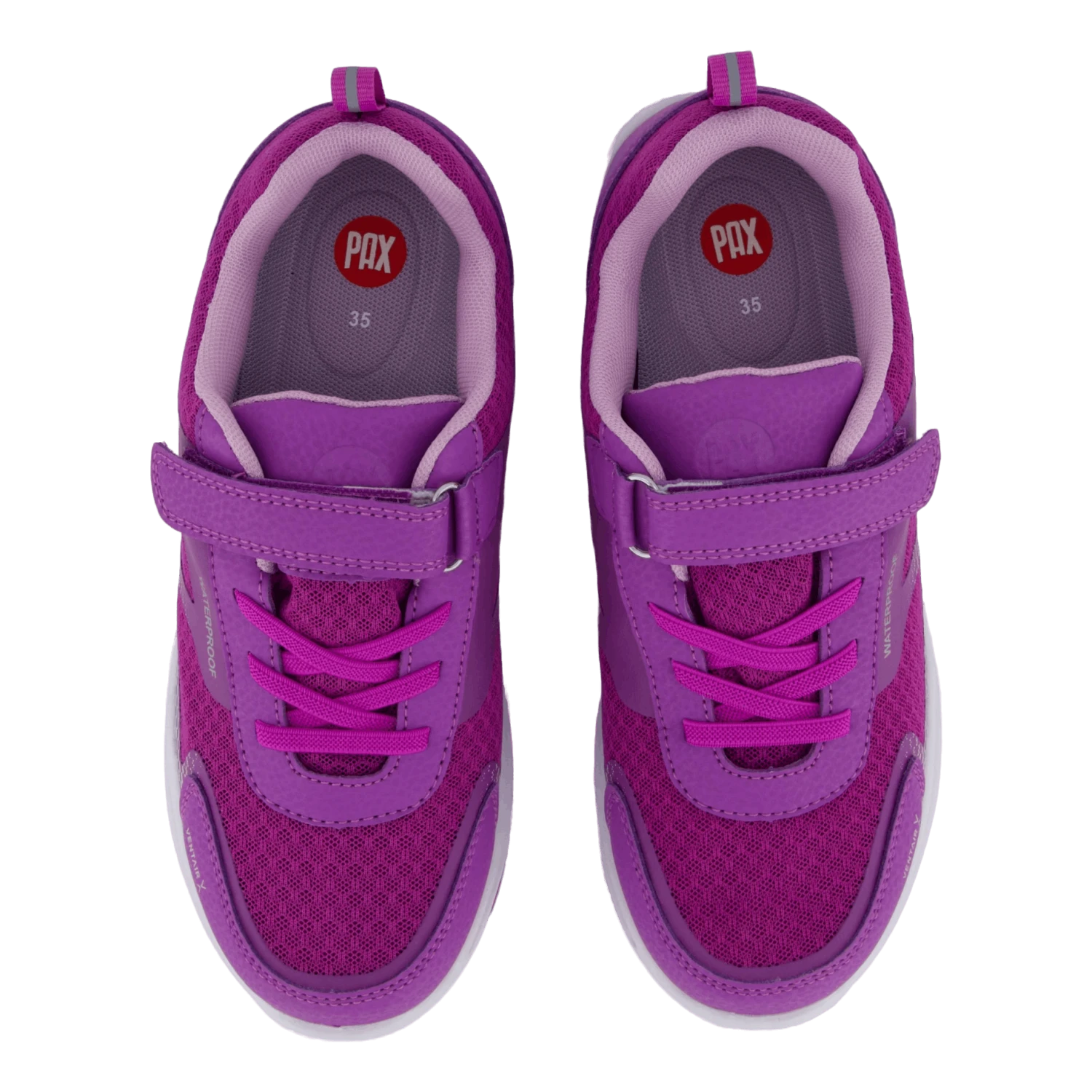 Perry Purple(Pax Perry Purple) 6 Perry Purple(Pax Perry Purple) - Bild 6