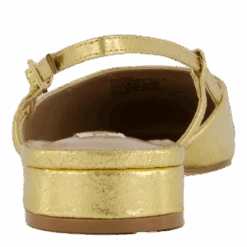 Belinda Ballerina Gold/black(Steve Madden Belinda Ballerina Gold Black) -Heppo Butik 61212 53 005