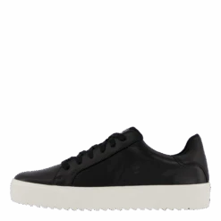 Rex Neapel(Polecat Rex Neapel 2)