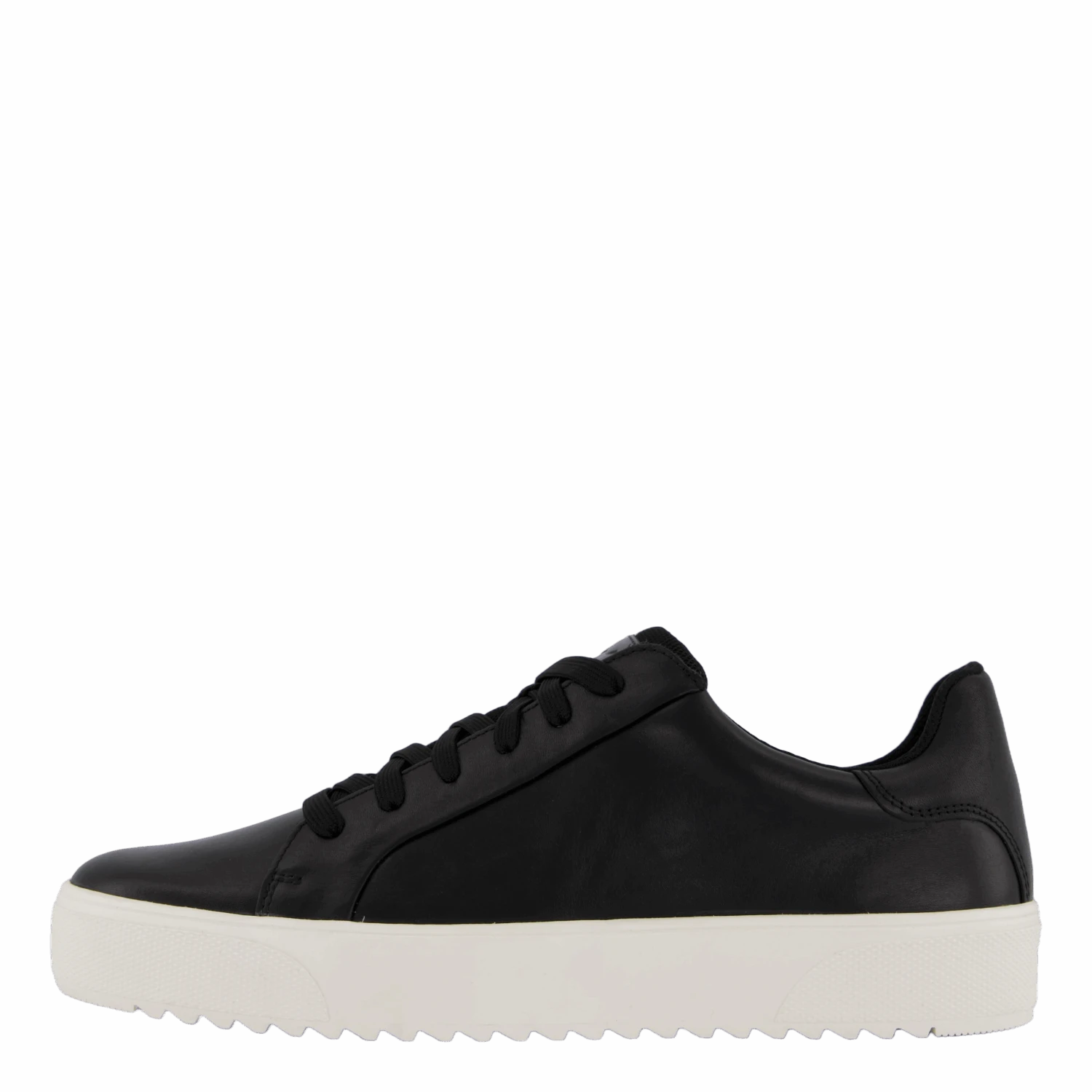 Rex Neapel(Polecat Rex Neapel 2) 1 Rex Neapel(Polecat Rex Neapel 2)