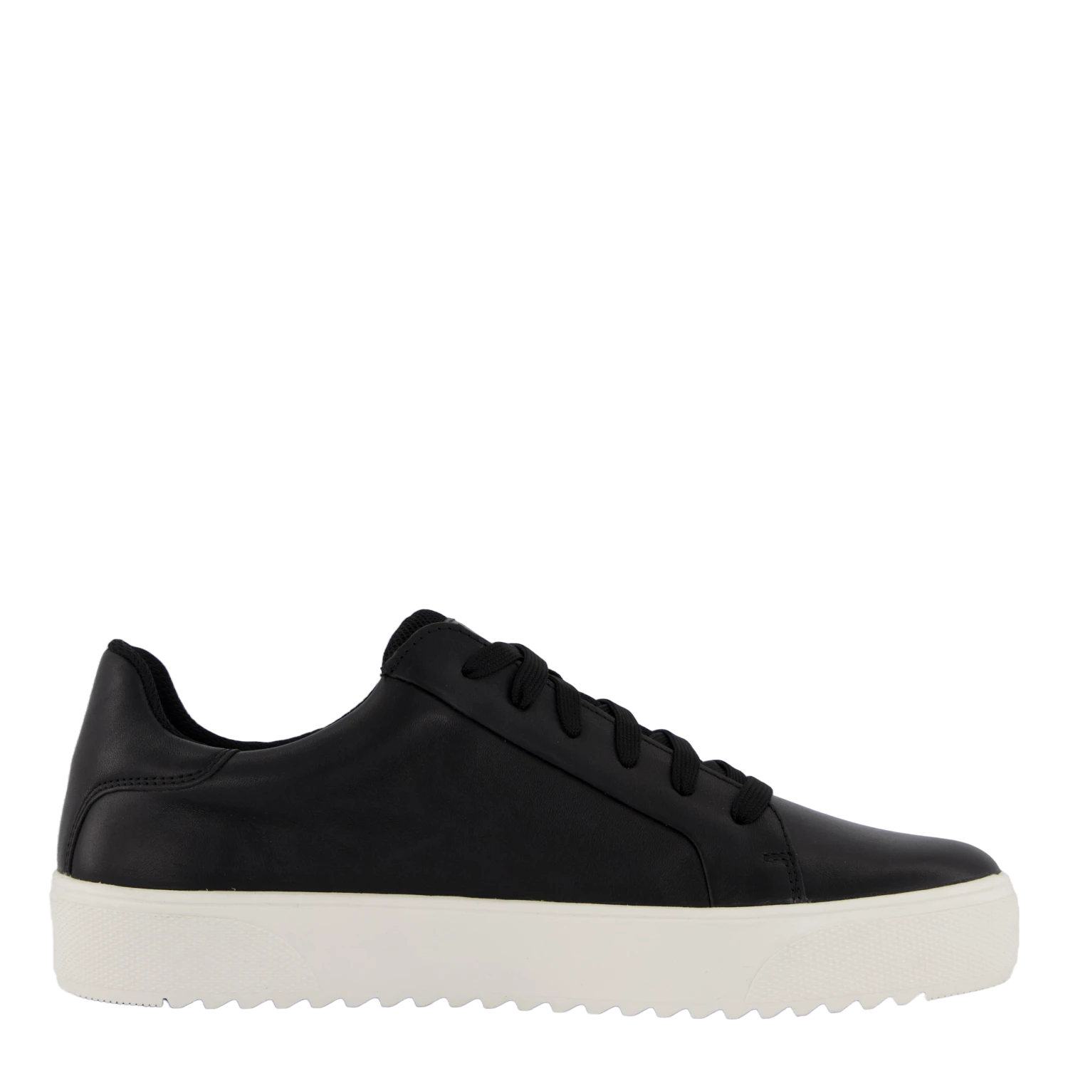 Rex Neapel(Polecat Rex Neapel 2) 3 Rex Neapel(Polecat Rex Neapel 2) - Bild 3