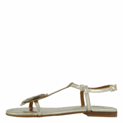 A8704 Gold Nappa(Billi Bi A8704 Gold Nappa)