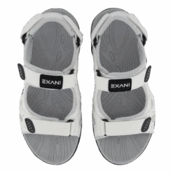 Spider Pro White(Exani Spider Pro White) -Heppo Butik 61231 55 006