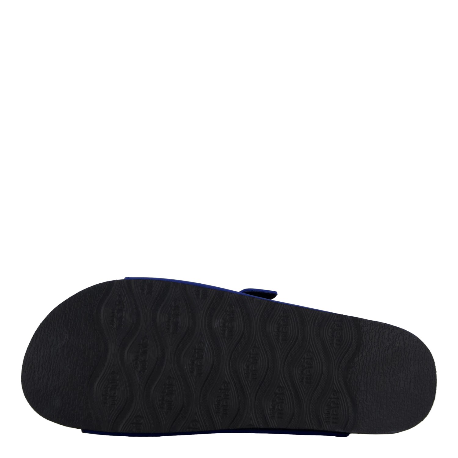 Joline Bijou Blue(Sk Na Marie Joline Bijou Blue) 4 Joline Bijou Blue(Sk Na Marie Joline Bijou Blue) - Bild 4