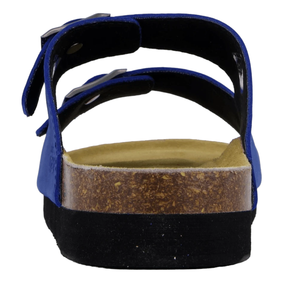 Joline Bijou Blue(Sk Na Marie Joline Bijou Blue) 5 Joline Bijou Blue(Sk Na Marie Joline Bijou Blue) - Bild 5