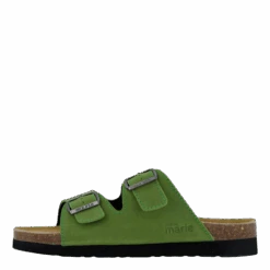 Joline Cedar Green(Sk Na Marie Joline Cedar Green)