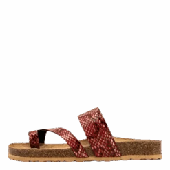 Adan Pink(216087 Axelda Adan F Rosa)