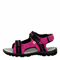 Pax Beetle Lilac(Beetle Lilac)