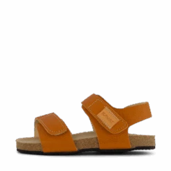 Kavat Bomhus EP Light Brown(Bomhus Ep Light Brown)