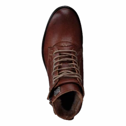 Sneaky Steve Kingdom Leather Cognac(Kingdom Leather Cognac) -Heppo Butik 60013 90 b770d451 3676 4894 9ec0 9cc17e4cda3b