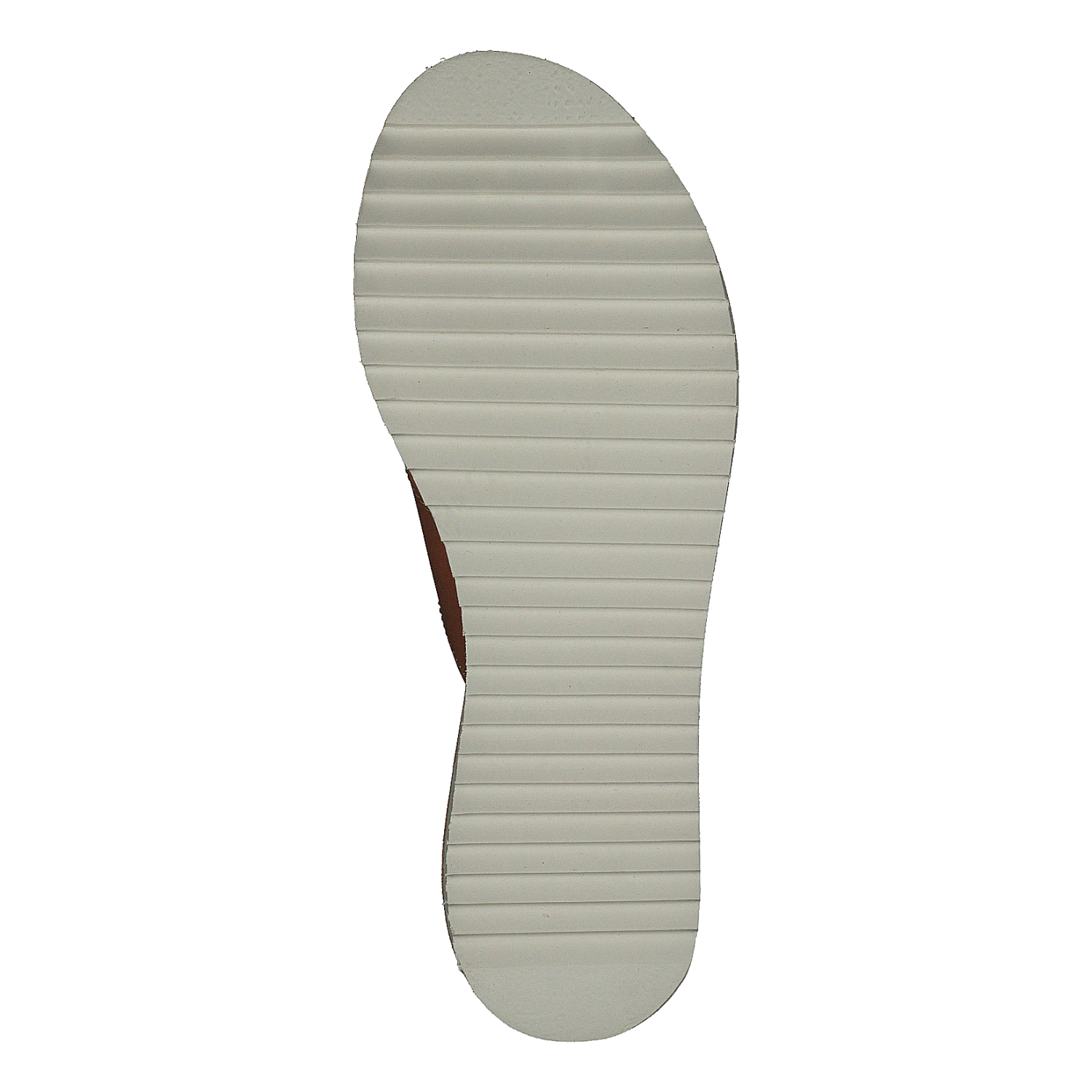 Kavat Axamo EP Light Brown(Axamo Ep Light Brown) 7 Kavat Axamo EP Light Brown(Axamo Ep Light Brown) - Bild 7