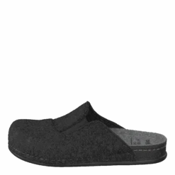 Pegasus Black(Pegasus Black)