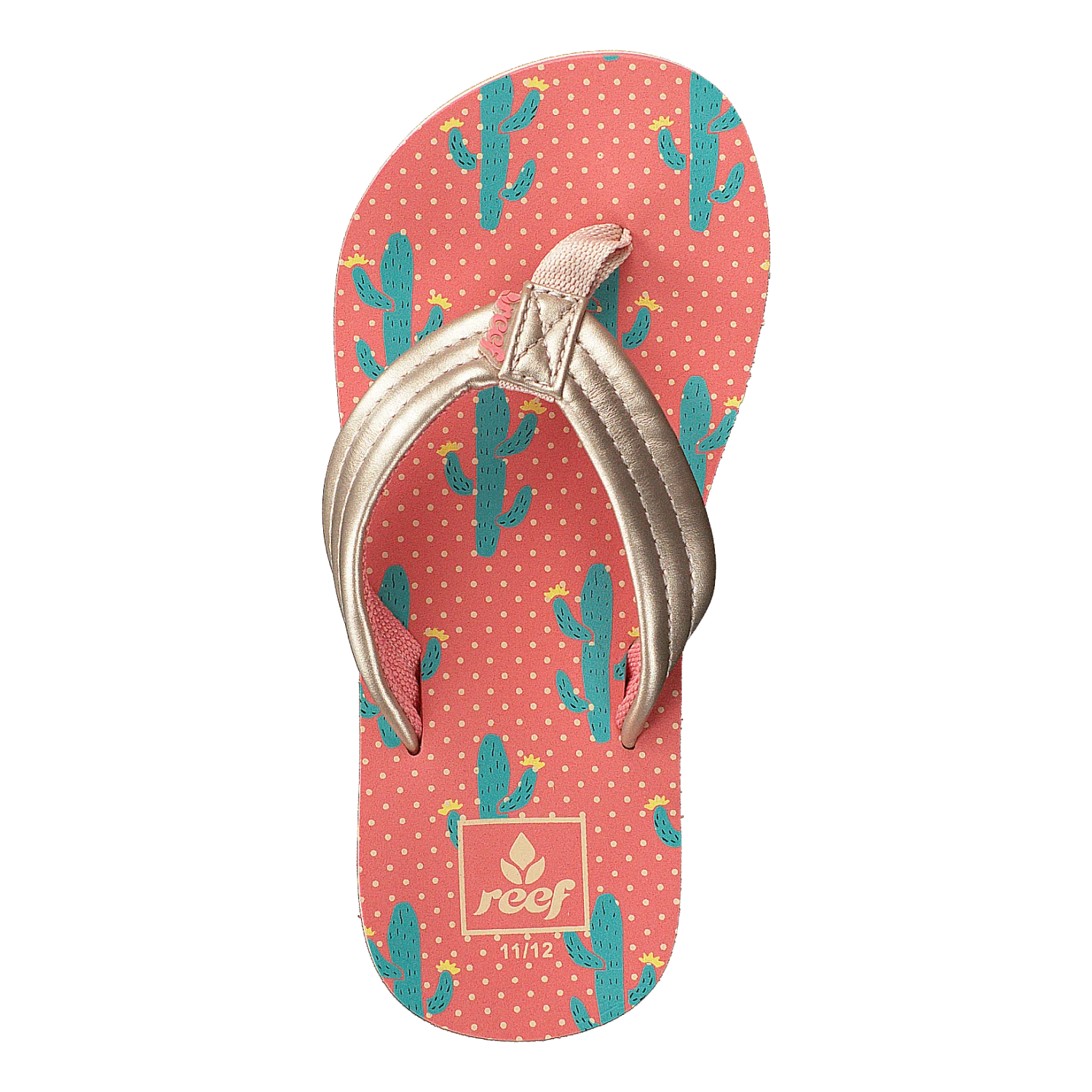 Reef Little Ahi Cactus(Little Ahi Cactus) 6 Reef Little Ahi Cactus(Little Ahi Cactus) - Bild 6