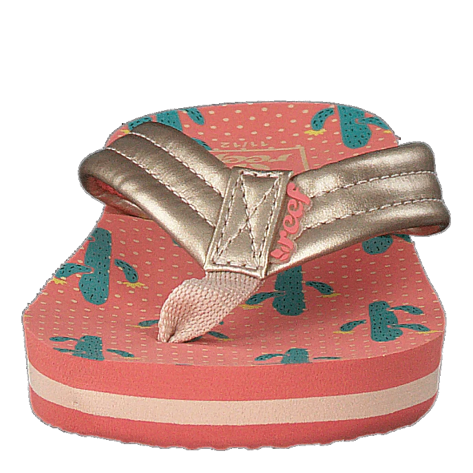 Reef Little Ahi Cactus(Little Ahi Cactus) 4 Reef Little Ahi Cactus(Little Ahi Cactus) - Bild 4