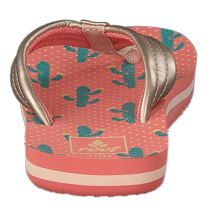 Reef Little Ahi Cactus(Little Ahi Cactus) 5 Reef Little Ahi Cactus(Little Ahi Cactus) - Bild 5