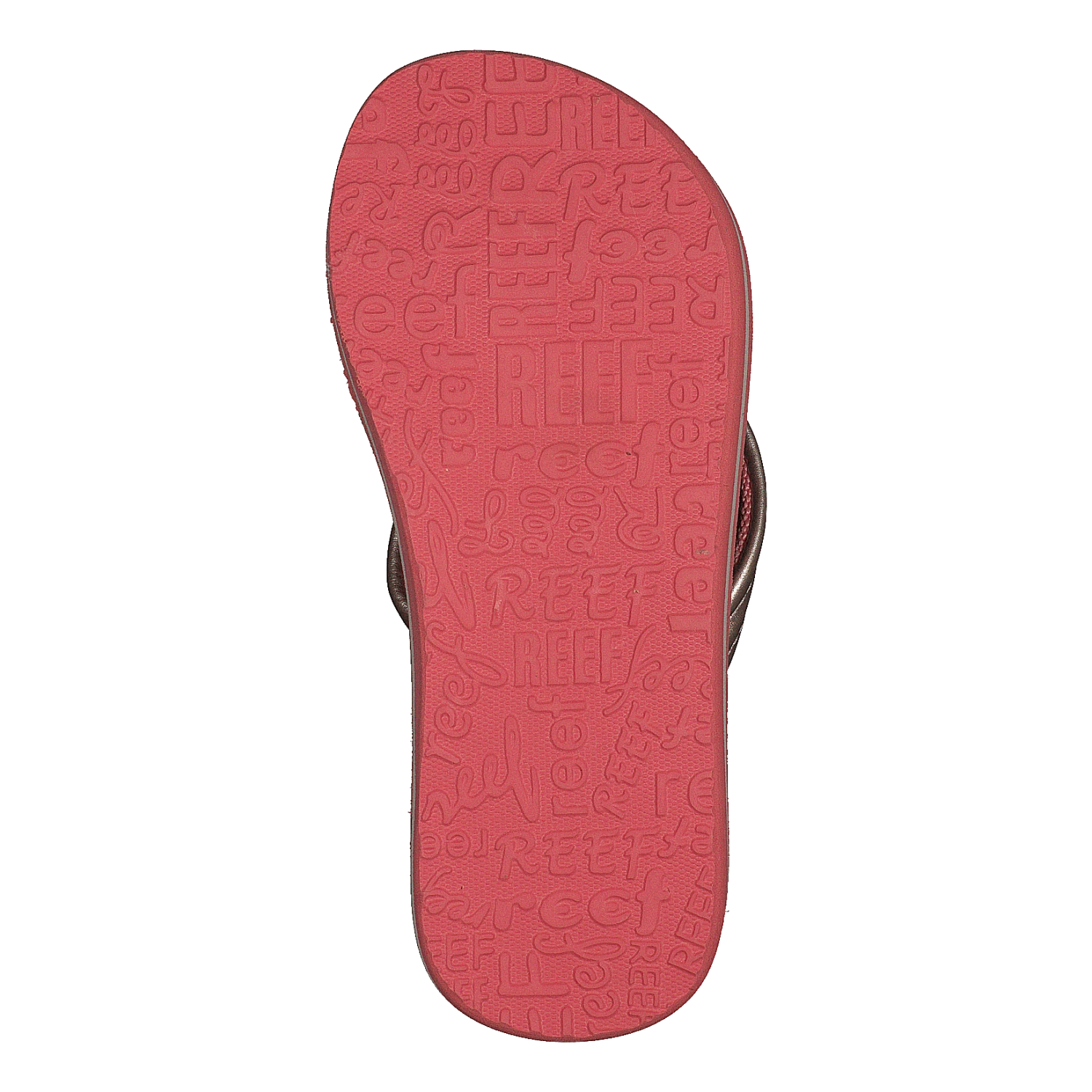 Reef Little Ahi Cactus(Little Ahi Cactus) 7 Reef Little Ahi Cactus(Little Ahi Cactus) - Bild 7