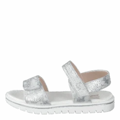 Desi Silver(Desi Silver)