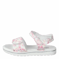 Gail Pink(Gail Pink)