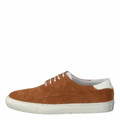 Noas Congac(Noas Congac)