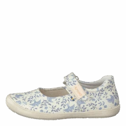 Kavat Ammenäs Xc Blue Flower(Ammenas Xc Blue Flower)