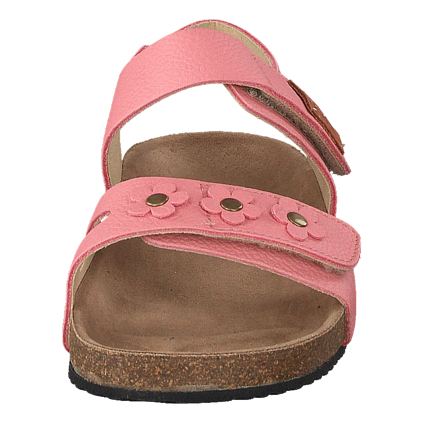 Kavat Skoghus Ep Strawberry Rose(Skoghus Ep Strawberry Rose) 4 Kavat Skoghus Ep Strawberry Rose(Skoghus Ep Strawberry Rose) - Bild 4