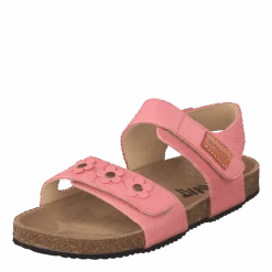 Kavat Skoghus Ep Strawberry Rose(Skoghus Ep Strawberry Rose) 9 Kavat Skoghus Ep Strawberry Rose(Skoghus Ep Strawberry Rose) -Heppo Butik 60149 86 d2efb9f2 a5f0 406f 848a 6105afe3501c