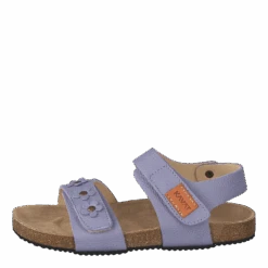 Kavat Skoghus Ep Violet(Skoghus Ep Violet)